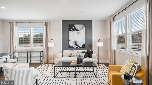 living room with hardwood / wood-style flooring