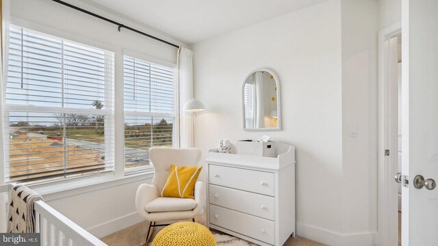 carpeted bedroom featuring a crib