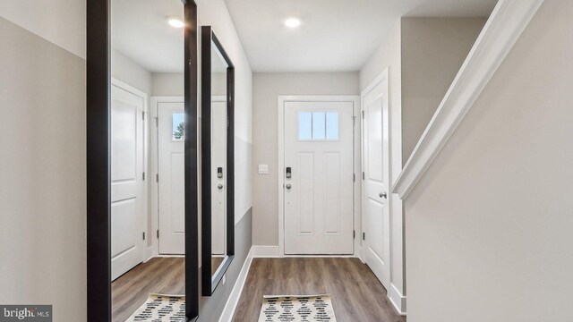 entryway featuring hardwood / wood-style flooring