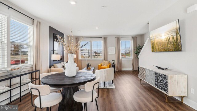 dining room featuring dark hardwood / wood-style flooring and a healthy amount of sunlight