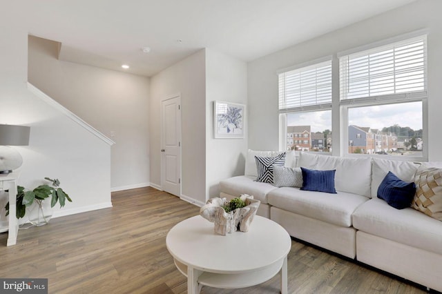 living room with wood-type flooring