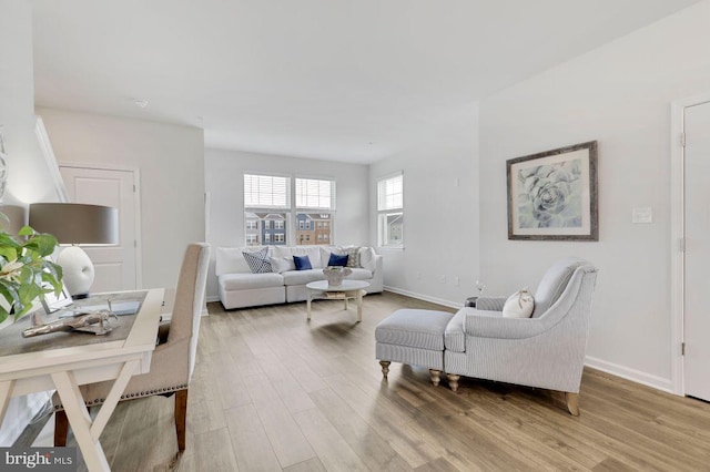 living room featuring wood-type flooring