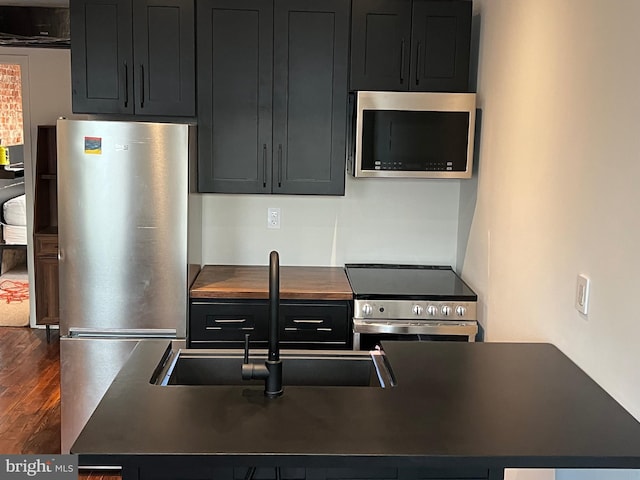 kitchen featuring sink, dark hardwood / wood-style flooring, and appliances with stainless steel finishes