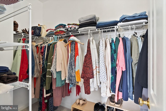 view of spacious closet