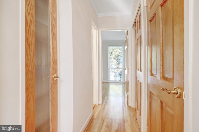 corridor featuring light wood-type flooring and crown molding