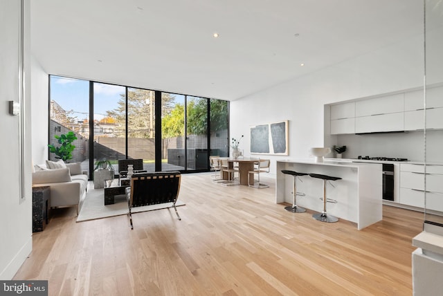 living room with light wood-type flooring and a wall of windows