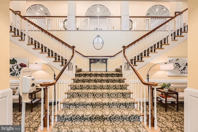 stairs featuring carpet flooring