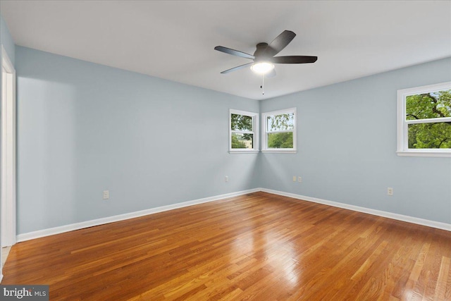 spare room featuring a wealth of natural light, light hardwood / wood-style floors, and ceiling fan