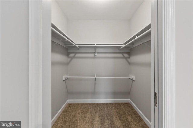 spacious closet featuring dark carpet