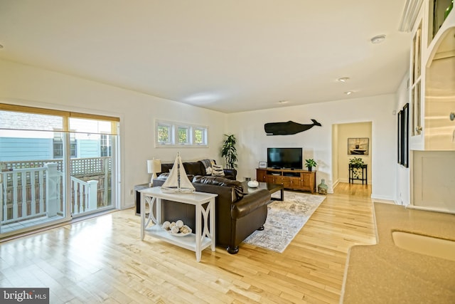 living room featuring wood-type flooring