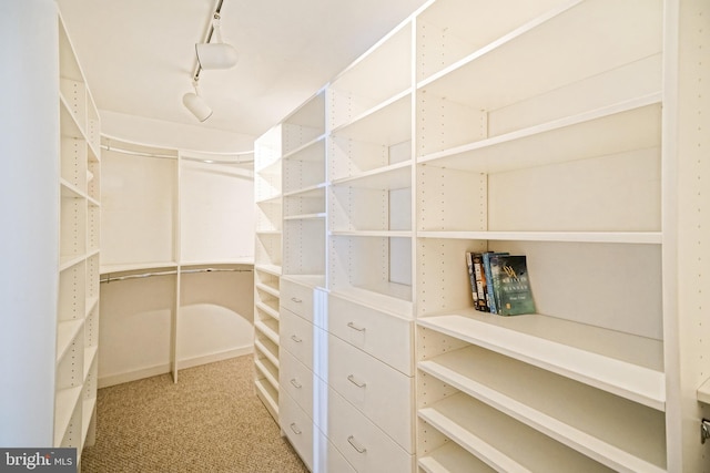 walk in closet featuring carpet flooring