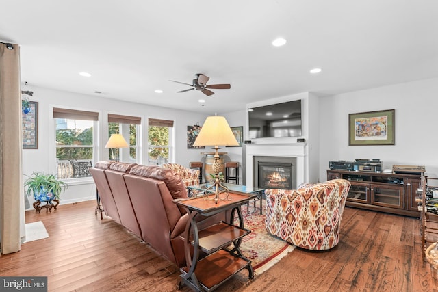 living room featuring ceiling fan and wood-type flooring