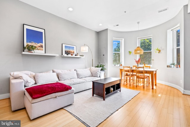 living room featuring hardwood / wood-style floors