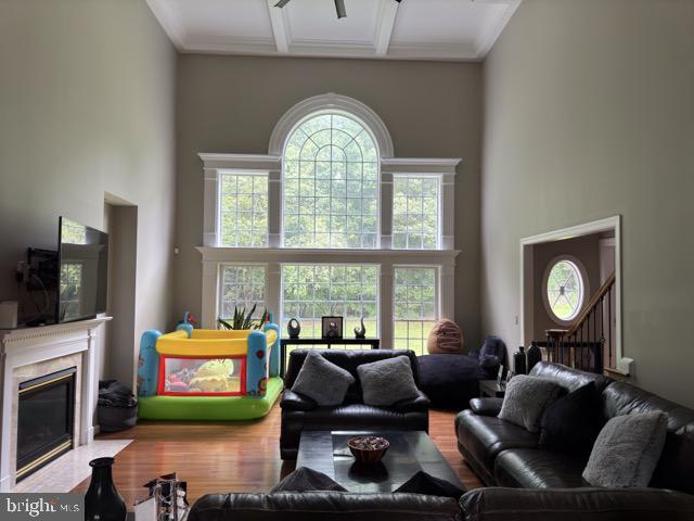 living room with wood-type flooring, a premium fireplace, and a wealth of natural light