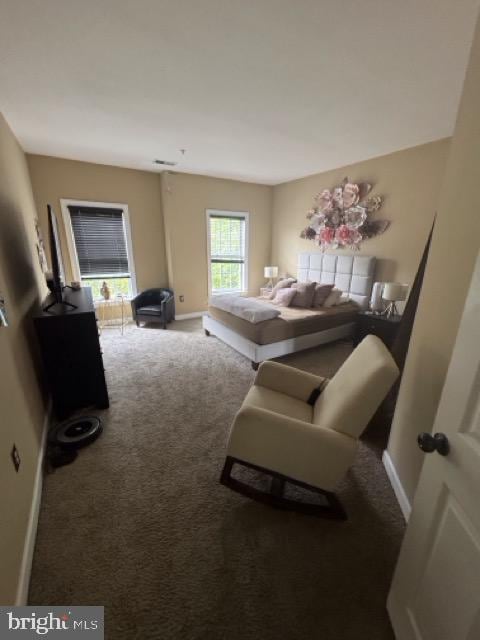 bedroom with carpet floors