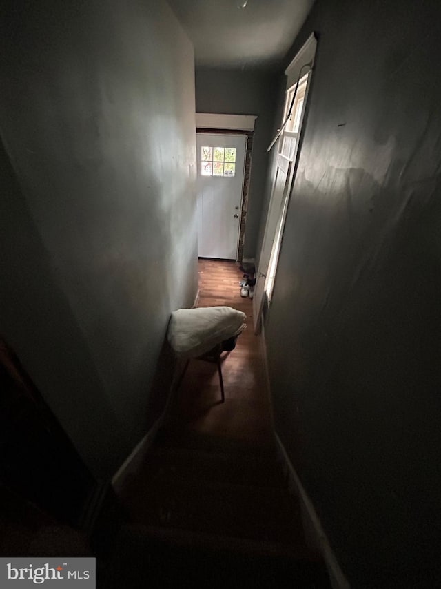 staircase with wood finished floors and baseboards