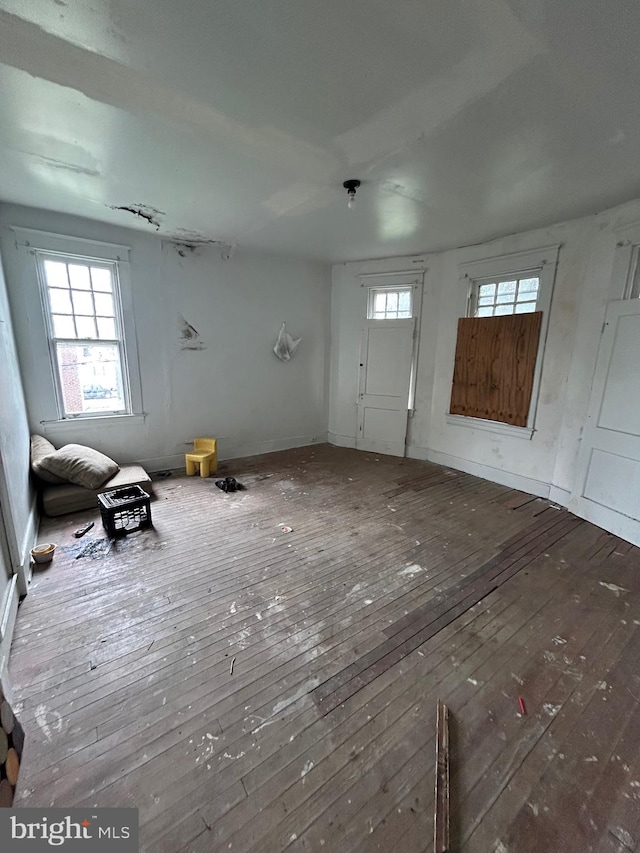 foyer with hardwood / wood-style flooring