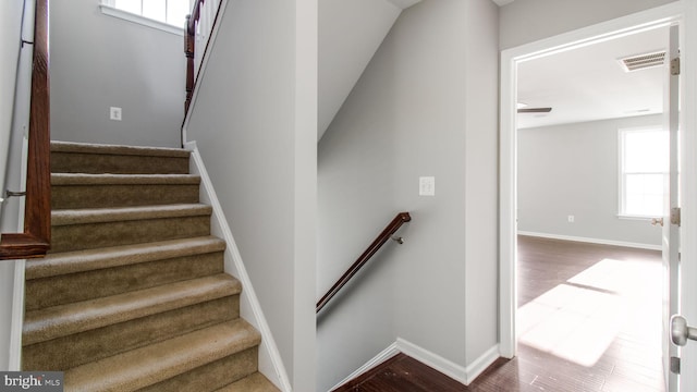 staircase featuring hardwood / wood-style flooring