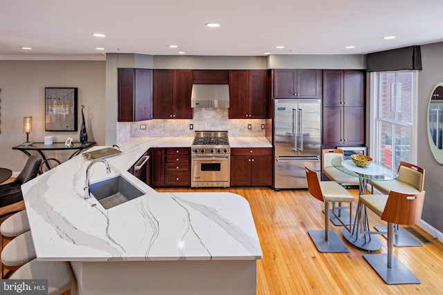 kitchen with decorative backsplash, light hardwood / wood-style floors, wall chimney exhaust hood, high quality appliances, and sink