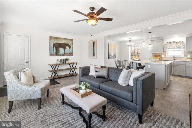 living room featuring crown molding, hardwood / wood-style flooring, sink, and ceiling fan with notable chandelier