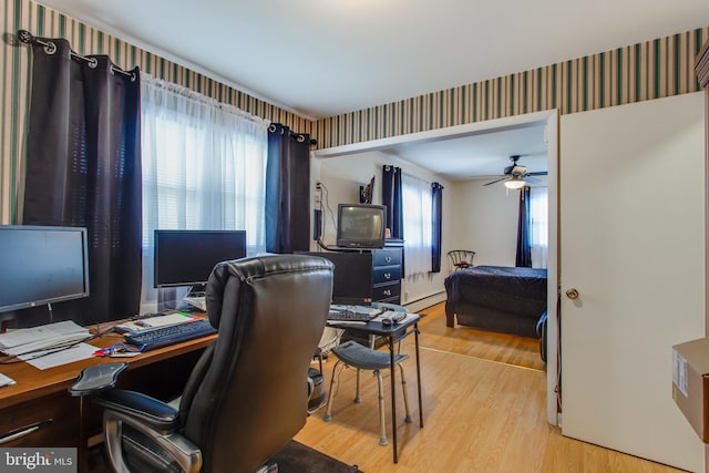 office area with ceiling fan, a baseboard radiator, and light hardwood / wood-style flooring