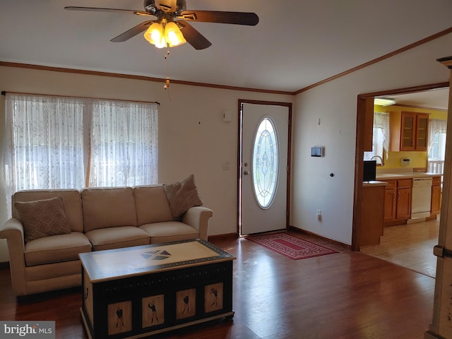 living room with ceiling fan, sink, dark wood-type flooring, and ornamental molding