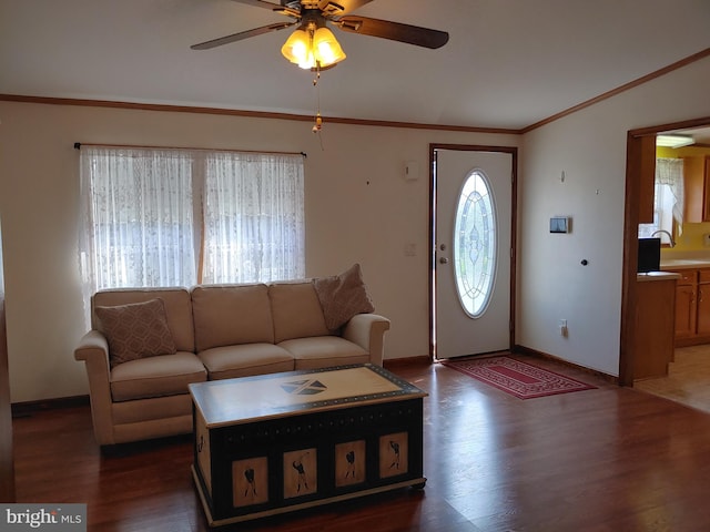 living room featuring ceiling fan, dark hardwood / wood-style flooring, and ornamental molding