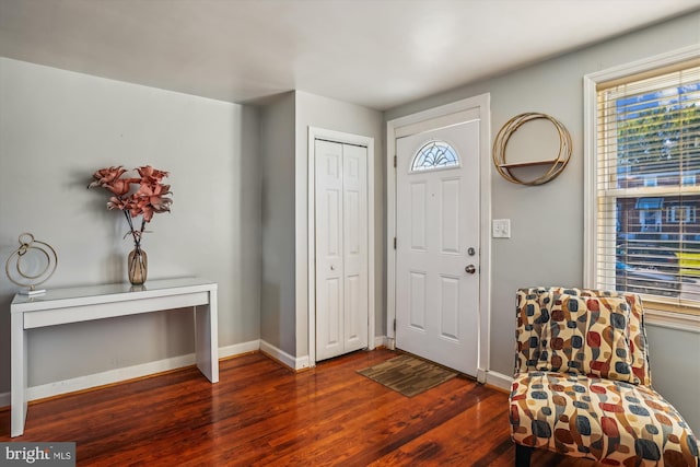 entryway with plenty of natural light and dark hardwood / wood-style flooring