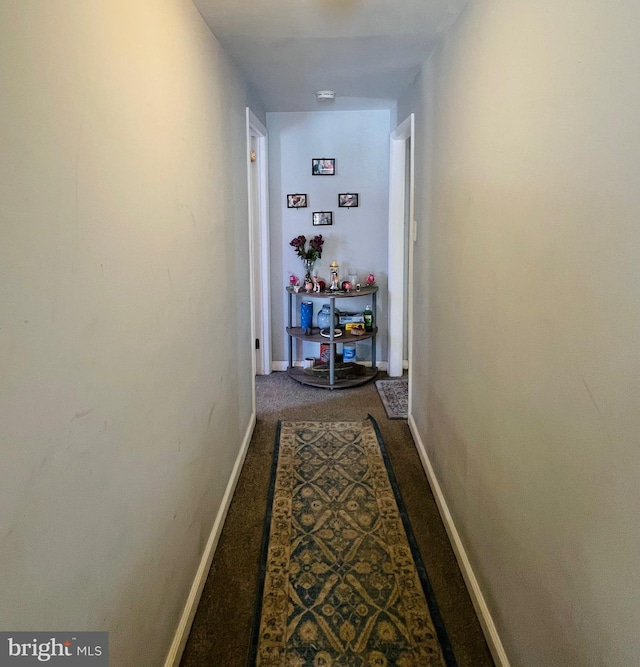 hallway with carpet flooring