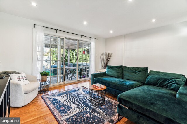 living room featuring hardwood / wood-style floors