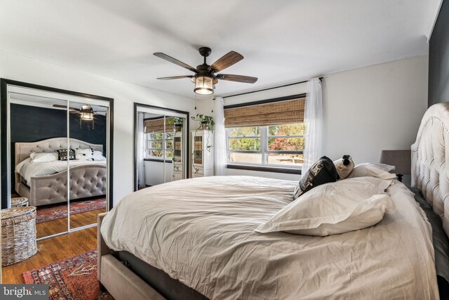 bedroom featuring ceiling fan, multiple windows, and dark hardwood / wood-style flooring