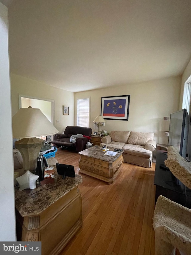 living room with light wood-type flooring