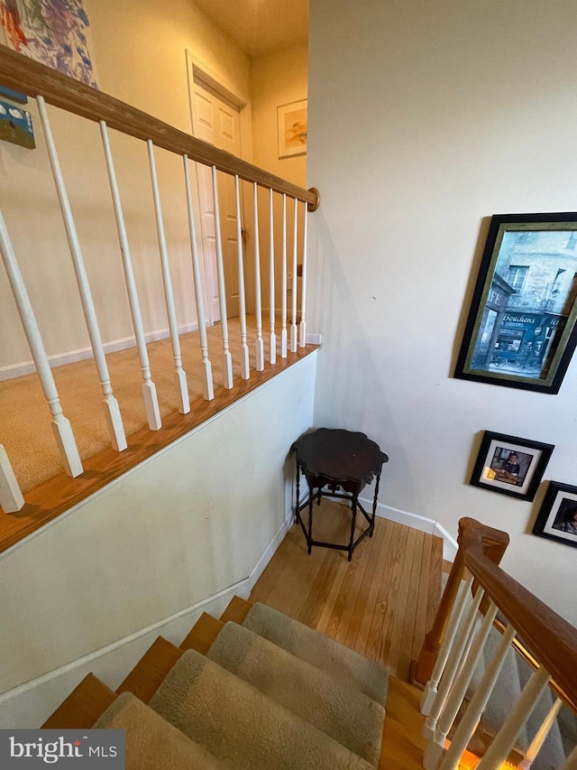 staircase featuring hardwood / wood-style flooring