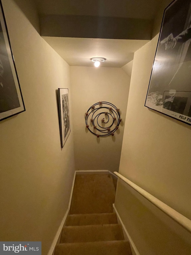 stairway with carpet floors