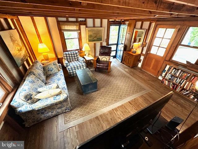 living room featuring wood-type flooring