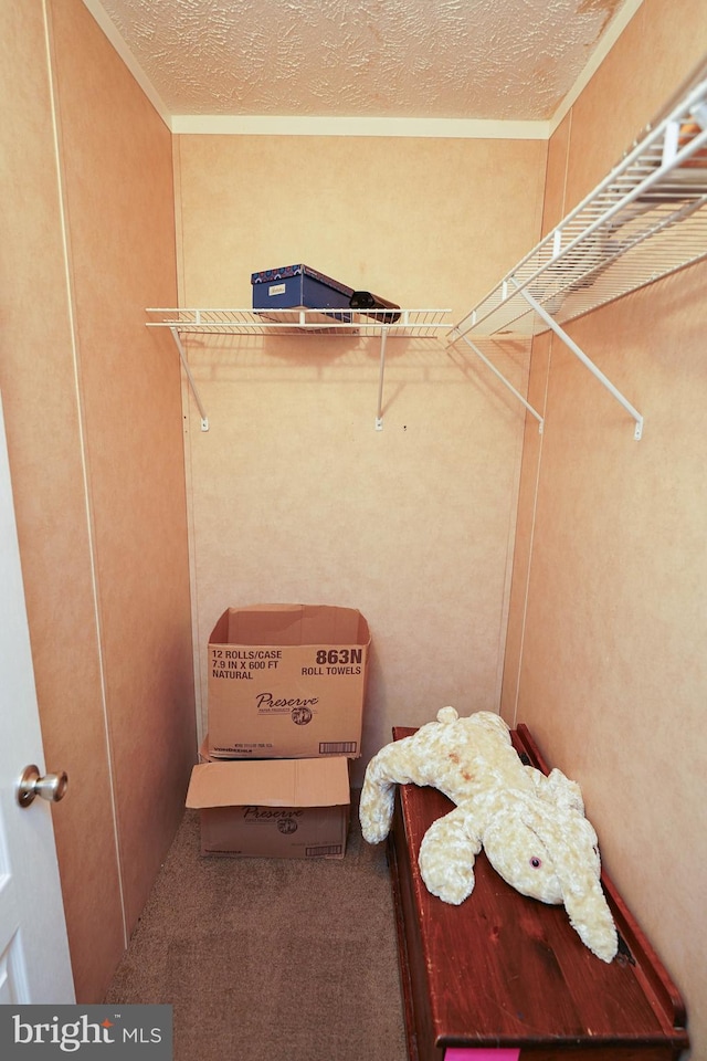 walk in closet with carpet floors