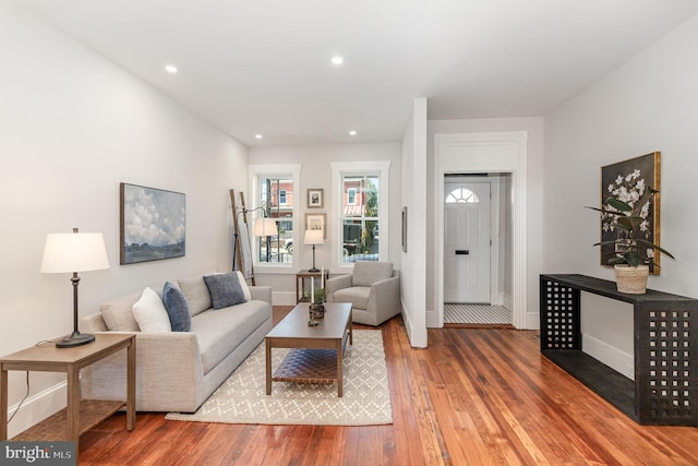 living room with wood-type flooring