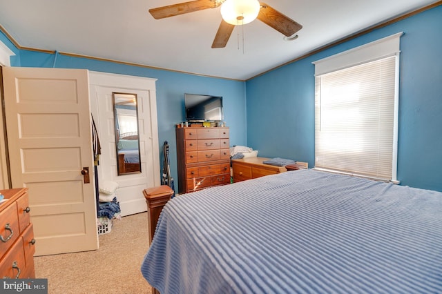 carpeted bedroom featuring ceiling fan, ornamental molding, and multiple windows