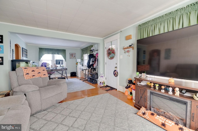 living room with crown molding and light hardwood / wood-style floors