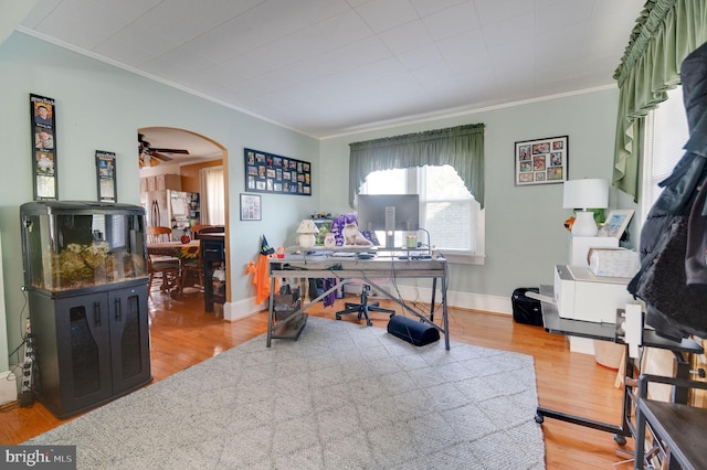 office area with ornamental molding, wood-type flooring, and ceiling fan