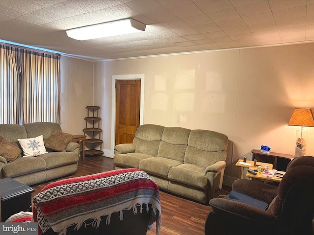 living room with dark hardwood / wood-style flooring