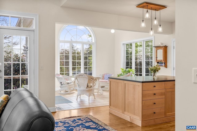 doorway to outside featuring plenty of natural light and light wood-style flooring