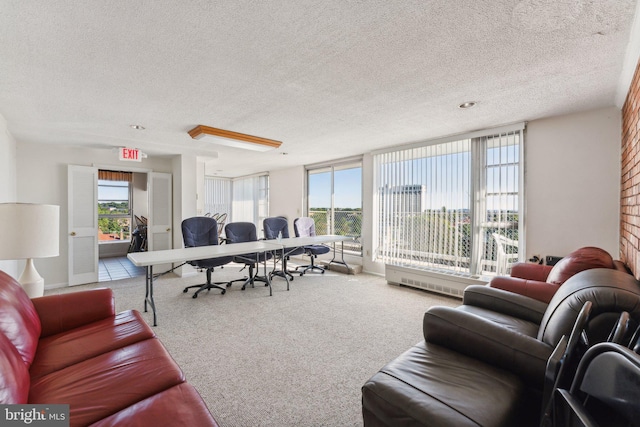 carpeted living room featuring a textured ceiling