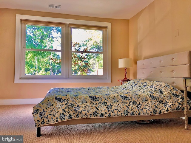 bedroom featuring multiple windows and carpet flooring