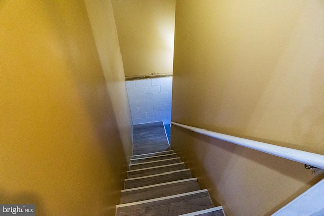 stairway with tile walls