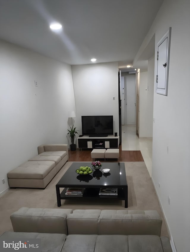 living room featuring light hardwood / wood-style floors