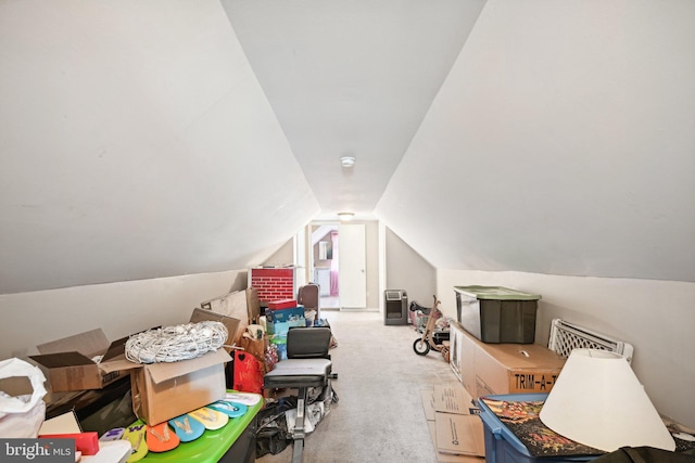 additional living space with lofted ceiling and light colored carpet