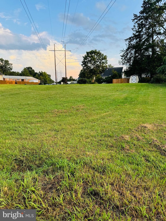 view of yard with a storage unit