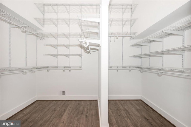 spacious closet featuring dark hardwood / wood-style floors