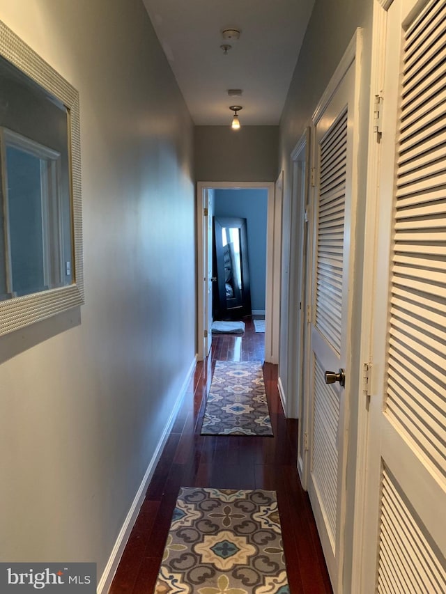 hall featuring dark wood-type flooring